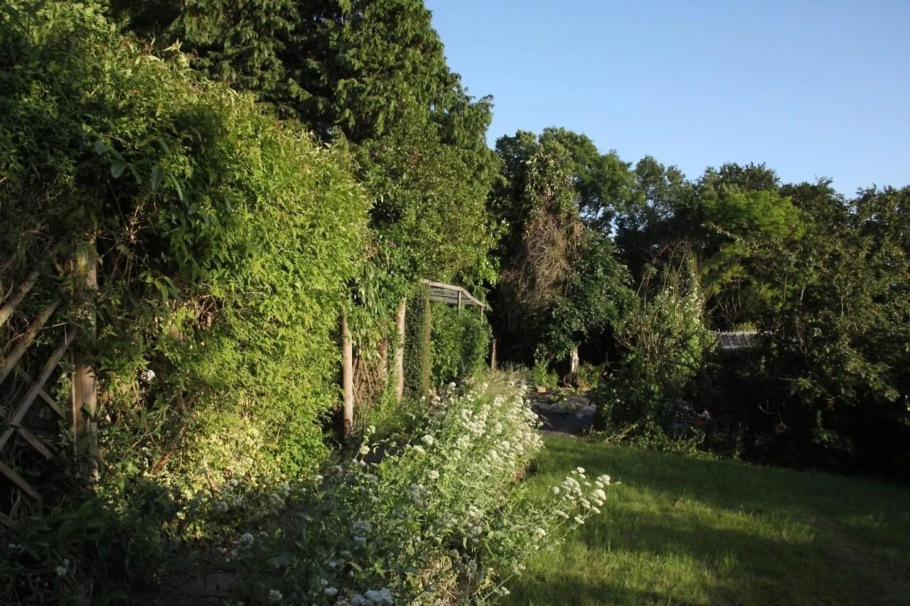 山林小屋 Spacious Home In Bath, Nature And City!