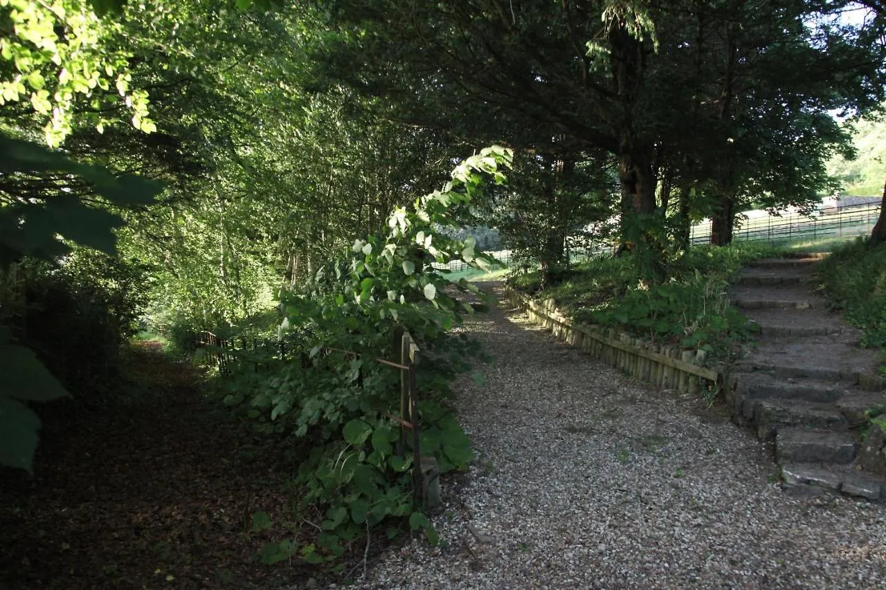 Spacious Home In Bath, Nature And City! Bath
